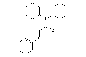 N,N-dicyclohexyl-2-phenoxy-acetamide