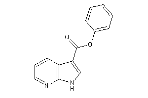 1H-pyrrolo[2,3-b]pyridine-3-carboxylic Acid Phenyl Ester