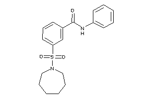 3-(azepan-1-ylsulfonyl)-N-phenyl-benzamide