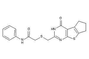 2-[(ketoBLAHyl)methylthio]-N-phenyl-acetamide