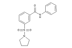 N-phenyl-3-pyrrolidinosulfonyl-benzamide