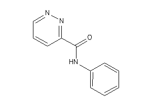 N-phenylpyridazine-3-carboxamide