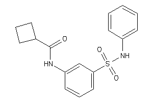 N-[3-(phenylsulfamoyl)phenyl]cyclobutanecarboxamide