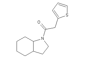 1-(2,3,3a,4,5,6,7,7a-octahydroindol-1-yl)-2-(2-thienyl)ethanone