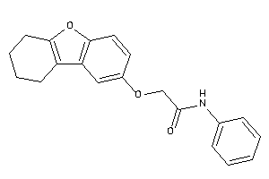 N-phenyl-2-(6,7,8,9-tetrahydrodibenzofuran-2-yloxy)acetamide