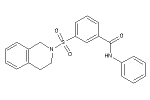 3-(3,4-dihydro-1H-isoquinolin-2-ylsulfonyl)-N-phenyl-benzamide