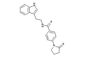 N-[2-(1H-indol-3-yl)ethyl]-4-(2-ketopyrrolidino)benzamide