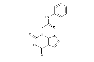 2-(2,4-diketothieno[2,3-d]pyrimidin-1-yl)-N-phenyl-acetamide