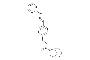 1-(6-azabicyclo[3.2.1]octan-6-yl)-2-[4-[(phenylhydrazono)methyl]phenoxy]ethanone