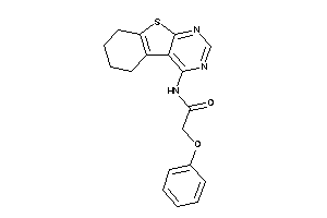 2-phenoxy-N-(5,6,7,8-tetrahydrobenzothiopheno[2,3-d]pyrimidin-4-yl)acetamide