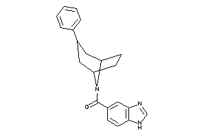 1H-benzimidazol-5-yl-(3-phenyl-8-azabicyclo[3.2.1]octan-8-yl)methanone