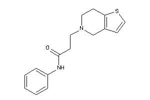 3-(6,7-dihydro-4H-thieno[3,2-c]pyridin-5-yl)-N-phenyl-propionamide