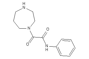 2-(1,4-diazepan-1-yl)-2-keto-N-phenyl-acetamide