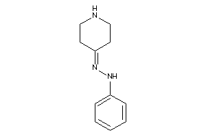 Phenyl-(4-piperidylideneamino)amine