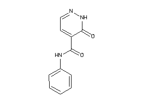 6-keto-N-phenyl-1H-pyridazine-5-carboxamide