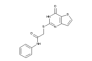 2-[(4-keto-3H-thieno[3,2-d]pyrimidin-2-yl)thio]-N-phenyl-acetamide