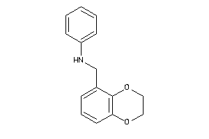 2,3-dihydro-1,4-benzodioxin-8-ylmethyl(phenyl)amine