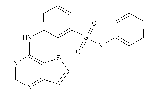 N-phenyl-3-(thieno[3,2-d]pyrimidin-4-ylamino)benzenesulfonamide