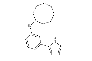 Cyclooctyl-[3-(1H-tetrazol-5-yl)phenyl]amine