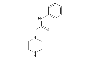 N-phenyl-2-piperazino-acetamide