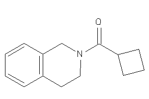 Cyclobutyl(3,4-dihydro-1H-isoquinolin-2-yl)methanone