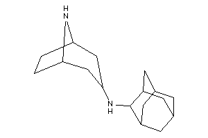 2-adamantyl(8-azabicyclo[3.2.1]octan-3-yl)amine