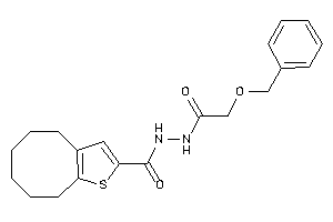 N'-(2-benzoxyacetyl)-4,5,6,7,8,9-hexahydrocycloocta[b]thiophene-2-carbohydrazide
