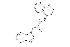 2-(benzimidazol-1-yl)-N-(thiochroman-4-ylideneamino)acetamide