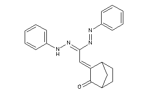Image of N'-anilino-2-(3-ketonorbornan-2-ylidene)-N-phenylimino-acetamidine