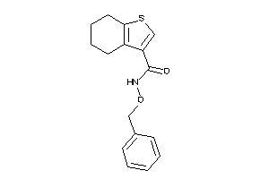 N-benzoxy-4,5,6,7-tetrahydrobenzothiophene-3-carboxamide