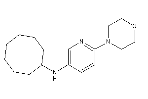 Image of Cyclooctyl-(6-morpholino-3-pyridyl)amine
