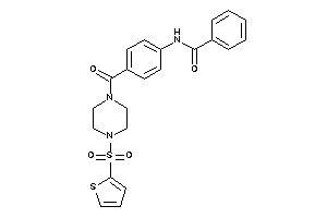 N-[4-[4-(2-thienylsulfonyl)piperazine-1-carbonyl]phenyl]benzamide