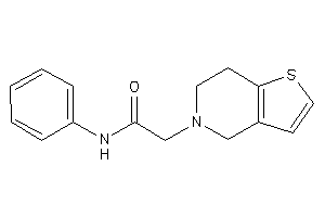 2-(6,7-dihydro-4H-thieno[3,2-c]pyridin-5-yl)-N-phenyl-acetamide