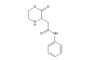2-(2-ketomorpholin-3-yl)-N-phenyl-acetamide