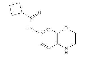 N-(3,4-dihydro-2H-1,4-benzoxazin-7-yl)cyclobutanecarboxamide