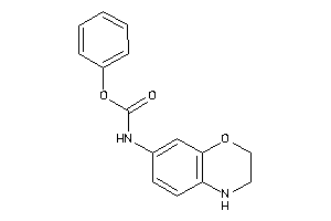 N-(3,4-dihydro-2H-1,4-benzoxazin-7-yl)carbamic Acid Phenyl Ester