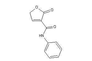 5-keto-N-phenyl-2H-furan-4-carboxamide