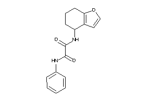 N'-phenyl-N-(4,5,6,7-tetrahydrobenzofuran-4-yl)oxamide