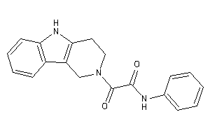 2-keto-N-phenyl-2-(1,3,4,5-tetrahydropyrido[4,3-b]indol-2-yl)acetamide