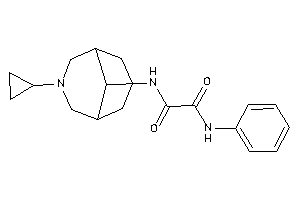 Image of N-(7-cyclopropyl-7-azabicyclo[3.3.1]nonan-9-yl)-N'-phenyl-oxamide