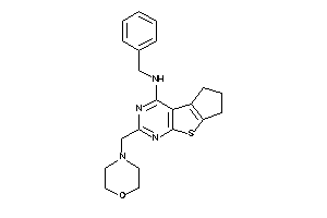 Benzyl-(morpholinomethylBLAHyl)amine