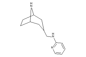 8-azabicyclo[3.2.1]octan-3-ylmethyl(2-pyridyl)amine