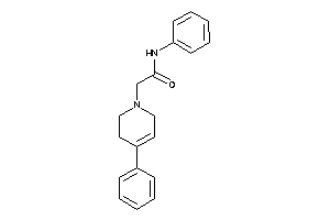 N-phenyl-2-(4-phenyl-3,6-dihydro-2H-pyridin-1-yl)acetamide