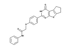 2-[4-(ketoBLAHyl)phenoxy]-N-phenyl-acetamide