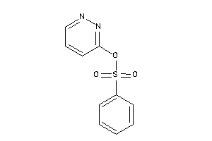 Benzenesulfonic Acid Pyridazin-3-yl Ester