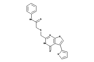 2-[[4-keto-5-(2-thienyl)-3H-thieno[2,3-d]pyrimidin-2-yl]methylthio]-N-phenyl-acetamide