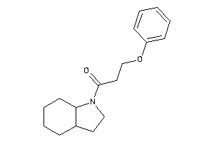 1-(2,3,3a,4,5,6,7,7a-octahydroindol-1-yl)-3-phenoxy-propan-1-one