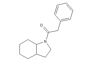 1-(2,3,3a,4,5,6,7,7a-octahydroindol-1-yl)-2-phenyl-ethanone