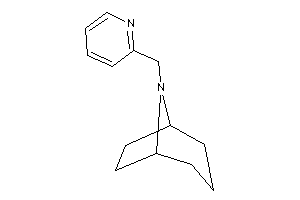 8-(2-pyridylmethyl)-8-azabicyclo[3.2.1]octane