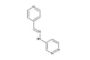 Pyridazin-4-yl-(4-pyridylmethyleneamino)amine